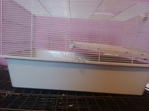 Cozy pet rodent cage - pet,