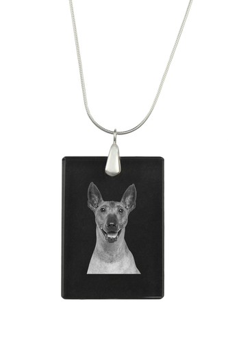 Mexican hairless dog - mexican,
