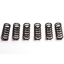 EBC Clutch Spring Set (6 PCS) Yamaha TY 250 Z 1993 - 1996