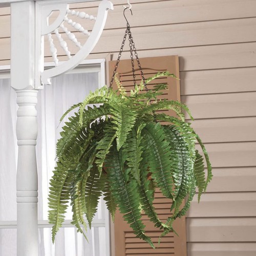Large artificial boston - boston, fern