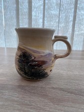 Boscastle Studio Pottery Mug