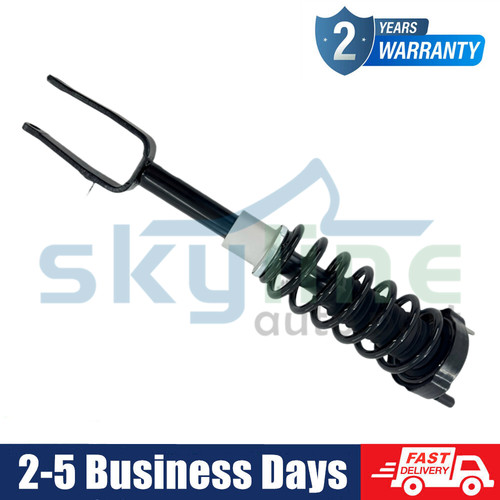 Front left shock strut - left, assys