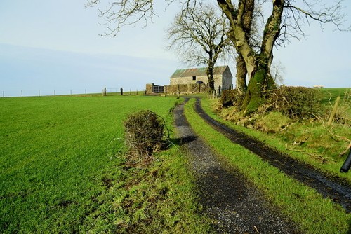 Photo 6x4 lane along - lane, field