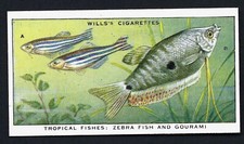 WILLS - POND & AQUARIUM, 1ST - PICK THE CARDS YOU NEED