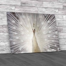 Spacious Home Metadata Optimization Original Canvas Print Large Picture Wall Art