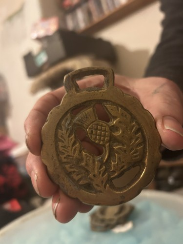 Scottish thistle horse brass - thistle,