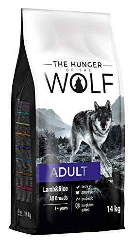 The hunger - hunger, wolf