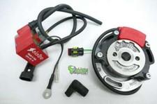 Selettra Complete System NO2019 034-IG-14 Homologated for Lenzo Go-Kart New