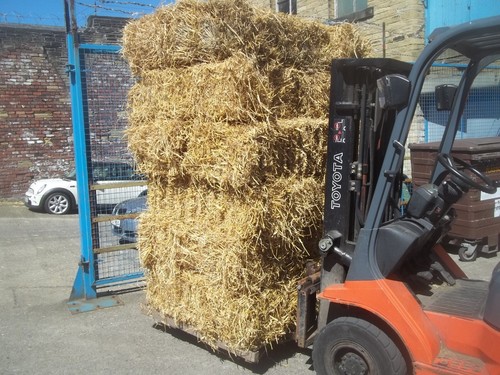 Barley straw small bales - ,
