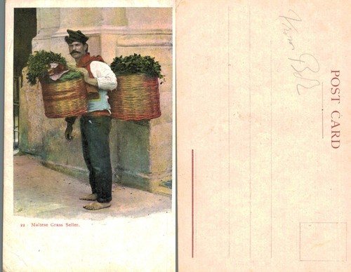 Vintage postcard maltese - vintage,