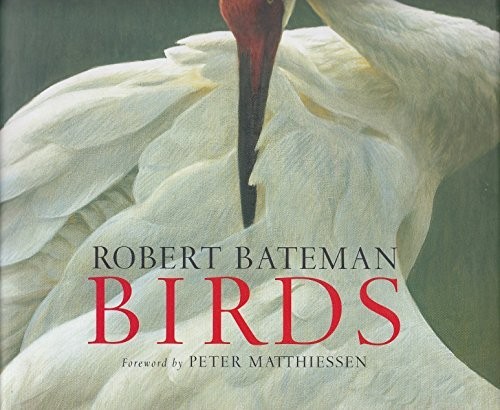 Batemans birds bateman - birds,,