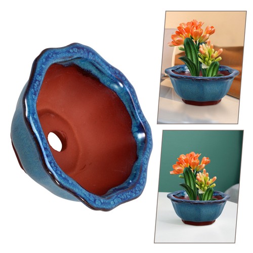 Garden shallow pot - shallow,