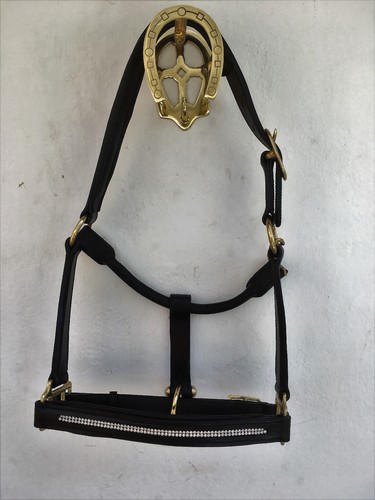 Leather headcollar with - headcollar,