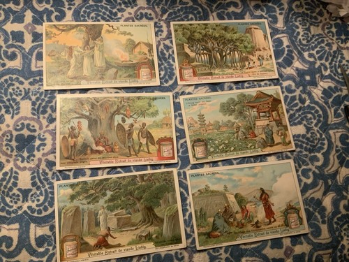 Liebig cards plantes - liebig,