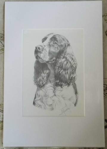 Art print spaniel m - by,