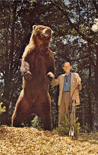 1980 grayling fred bear - grayling,