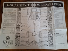 28 X 21" Jaguar E Type