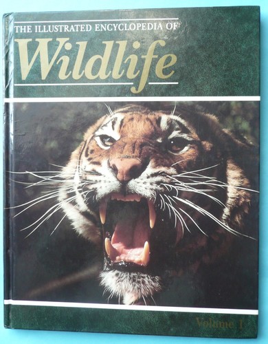Illustrated encyclopedia - illustrated,