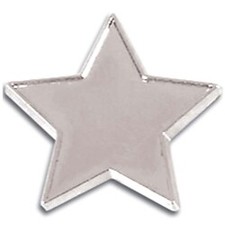 Star Pin Badge and Fastener