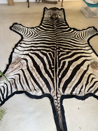 Genuine zebra skin equus - genuine, (equus