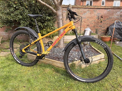 Santa cruz chameleon large - cruz,