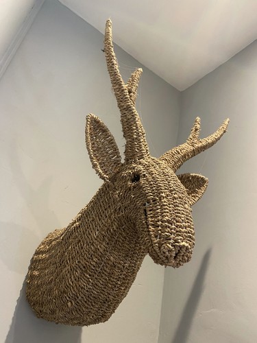Stag deer head - stag/deer,