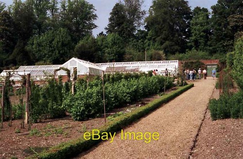 Photo 6x4 greenhouse the - 6x4, in
