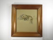 Lucy Dawson MAC Pekingese Dog