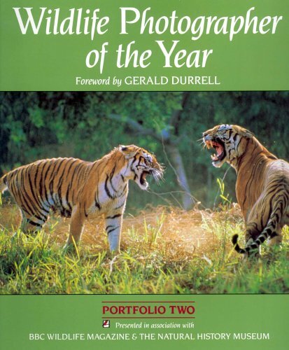 Wildlife photographer the - photographer,
