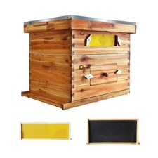 10-Frame Complete Beehive Wax
