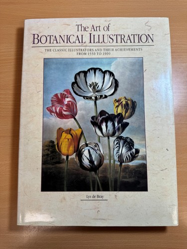 Art botanical illustration - botanical,