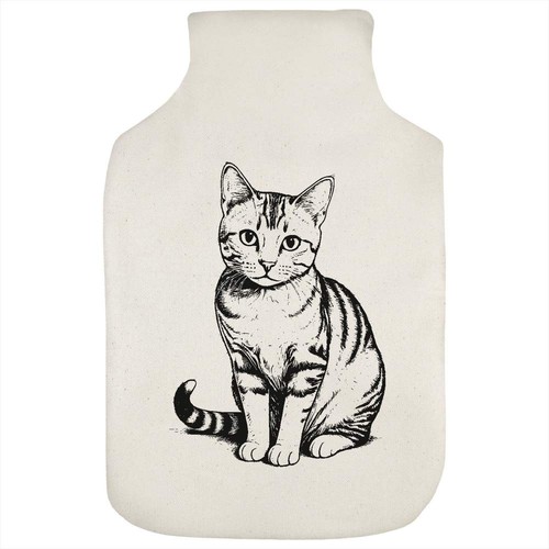 American shorthair cat hot - 'american,