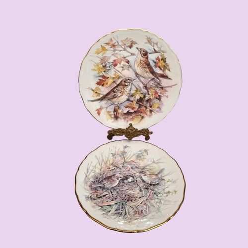 Royal albert garden birds from - royal,