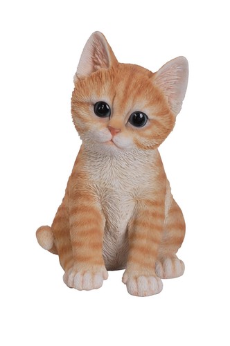 Ginger kitten cat lifelike - cat,