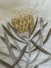 2 Mtrs Sanderson Protea Flower