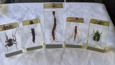 National geographic real life - national,