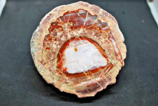 FRIEJUS AGATES (VAR) LITHOPHYSES DE L'ESTEREL