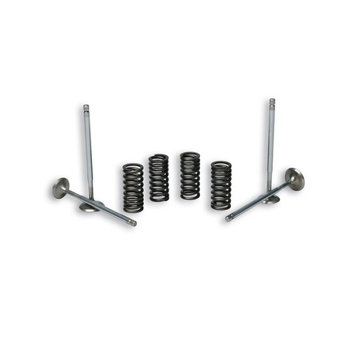Malossi engine valves - malossi,