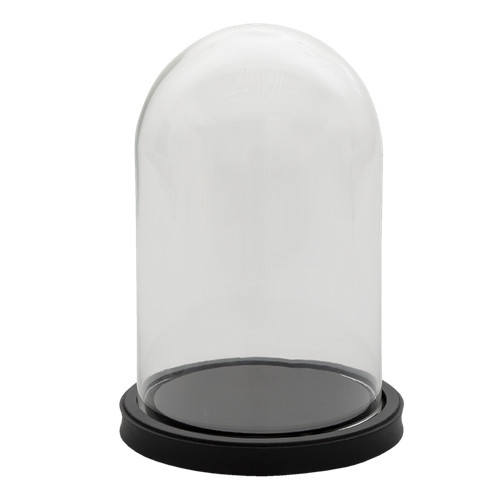 Glass display bell - glass, jar