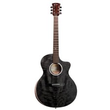 Faith FX Neptune Cutaway