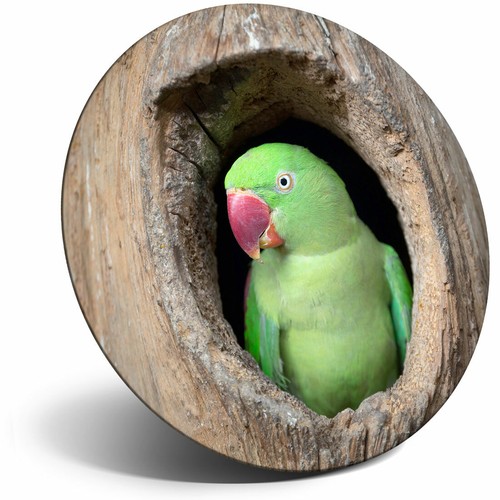 Awesome fridge magnet cute - -,