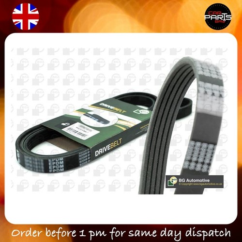 Belt for jaguar - belt,