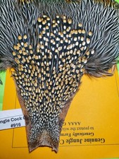 Jungle Cock Cape SUPER   AAAA 916