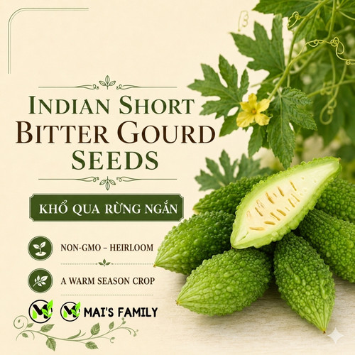Indian short bitter melon - short,