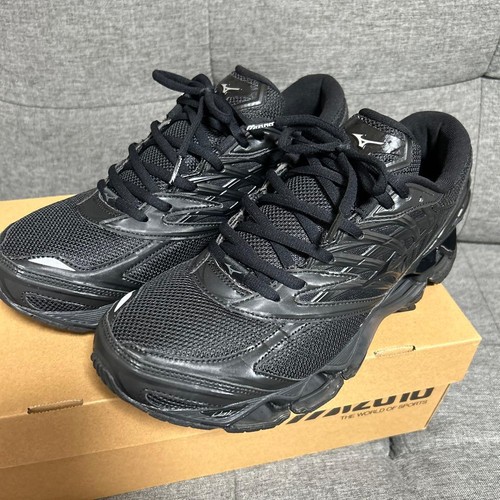 Mizuno wave prophecy - mizuno,