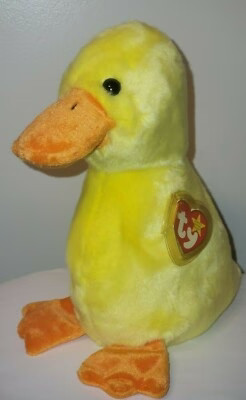 Wingless quackers buddy - wingless,