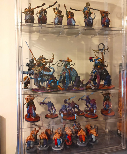 Warhammer beastclaw raiders - beastclaw,