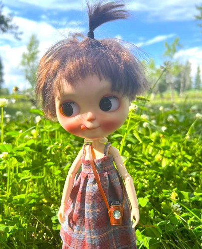 Blythe doll clothes handmade - doll,
