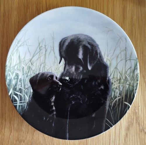 Danbury mint wedgewood a - -,