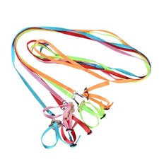 Parrot harness leash - parrot,